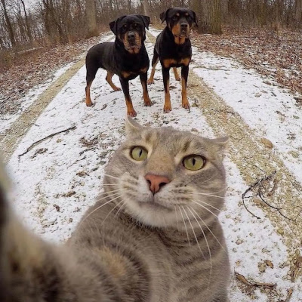 Meet your Posher, Juan